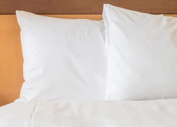 Hotel Avid South - Medical District By Ihg